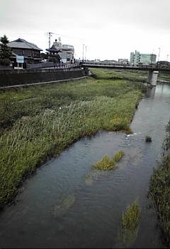 a0098027_17252781.jpg