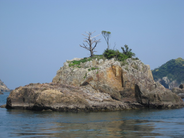 d0147727_2282512.jpg