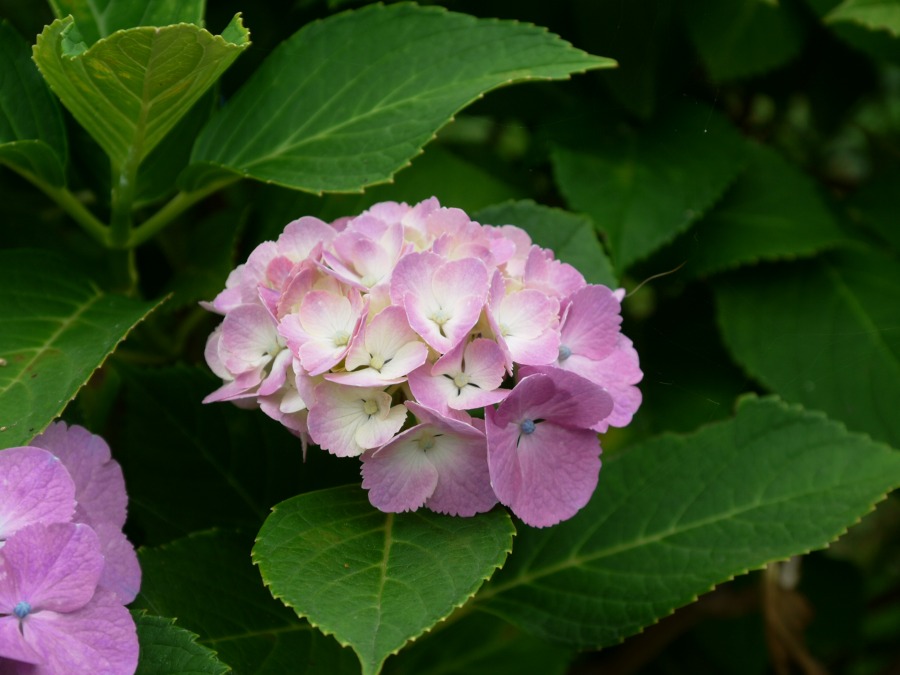 f0215431_1234733.jpg