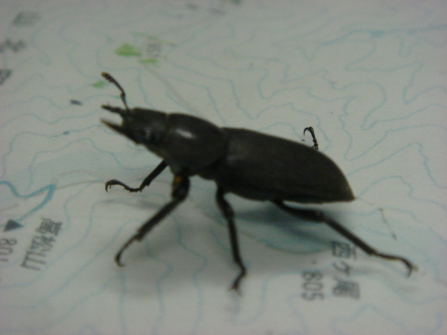 a0048040_22112385.jpg