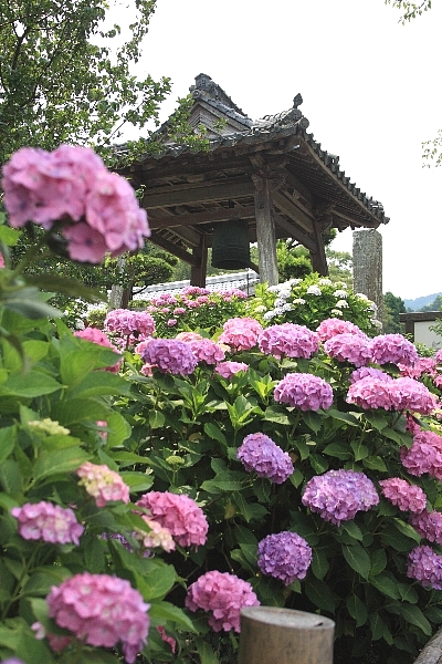e0077041_1026265.jpg