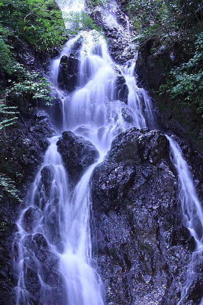 e0077041_10283178.jpg