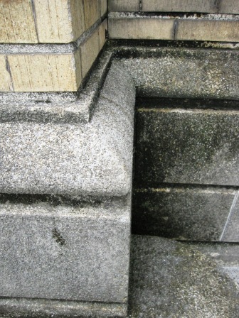 b0162442_20352083.jpg