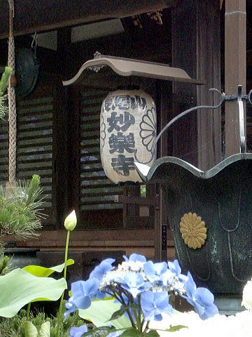 f0094843_14304765.jpg