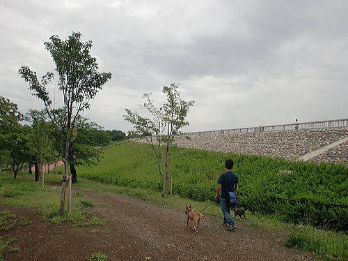 f0094843_14443594.jpg