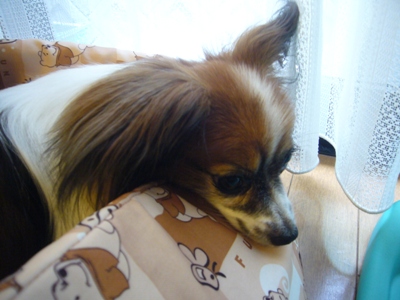 e0100046_18432868.jpg