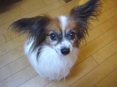 e0100046_18493991.jpg