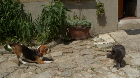 b0069848_538511.jpg