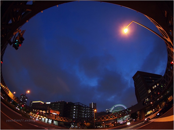 a0136249_4352596.jpg