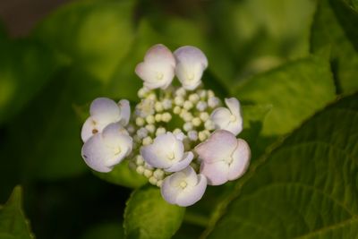 e0019550_221477.jpg