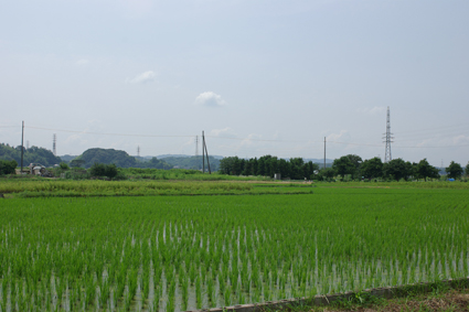 d0131851_09342.jpg