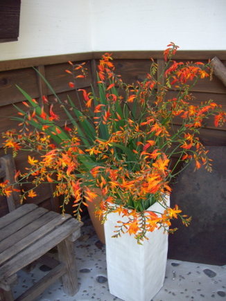 c0224154_12134847.jpg