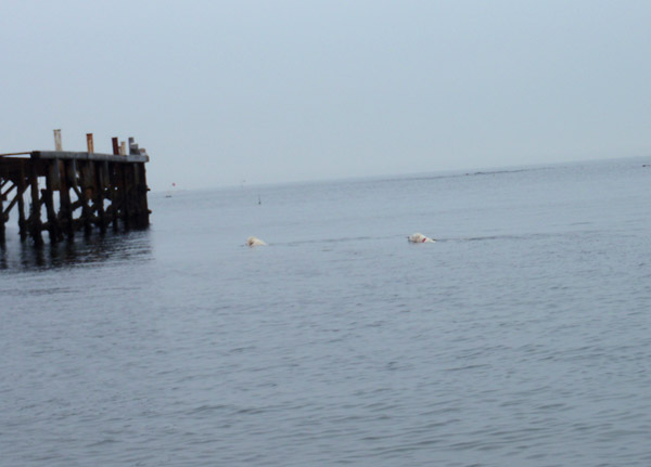 c0110361_1522396.jpg