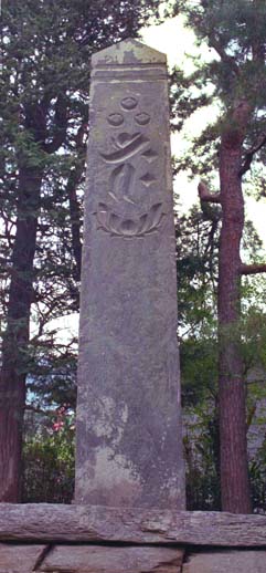 e0018762_10185795.jpg