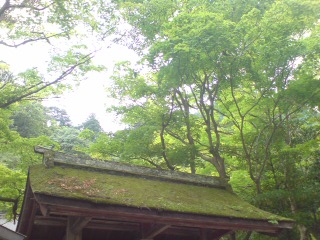 e0187064_084666.jpg