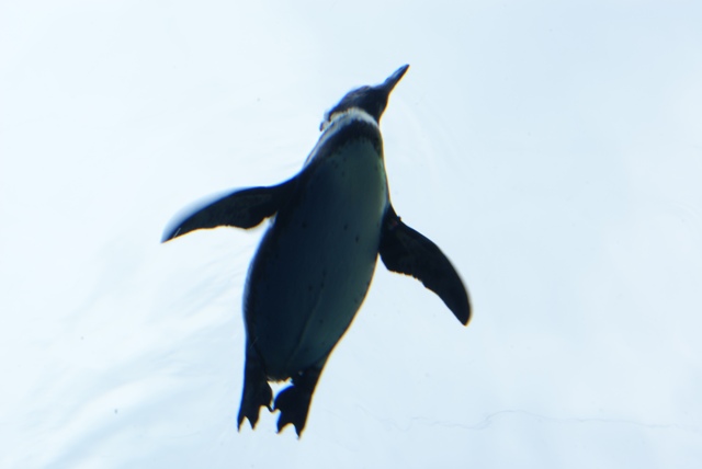 a0091666_22162350.jpg