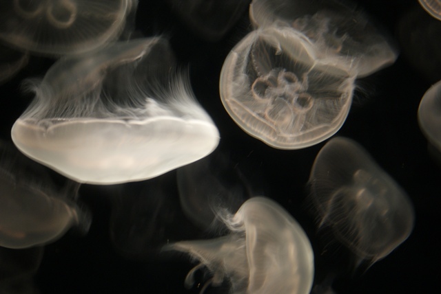 a0091666_2218851.jpg