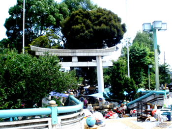 f0204069_973122.jpg