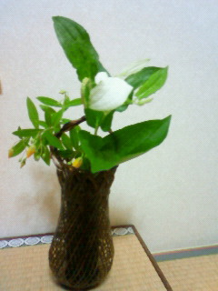 f0233772_2313479.jpg