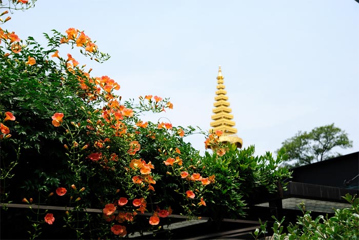 f0108478_2045479.jpg