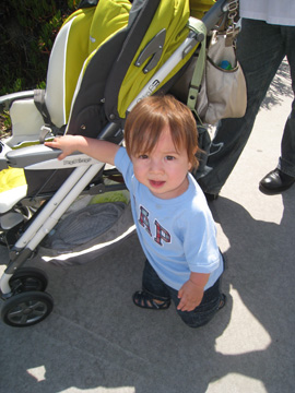 f0068883_1472521.jpg