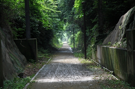 e0190885_19341117.jpg