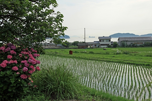 e0190885_19342760.jpg