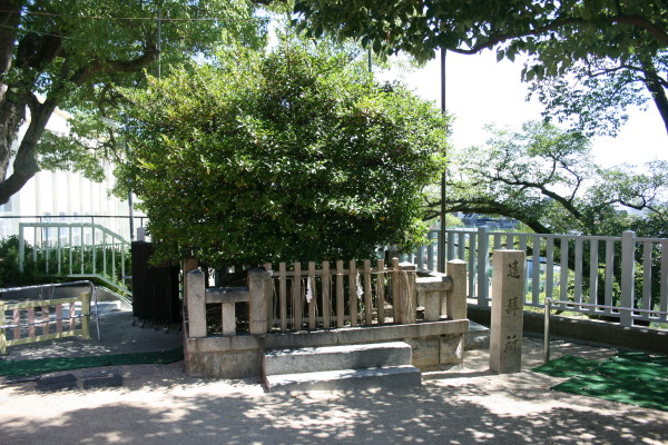 b0118987_617678.jpg