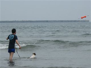 e0121589_19201047.jpg