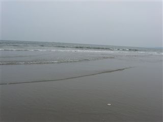 e0121589_19215199.jpg