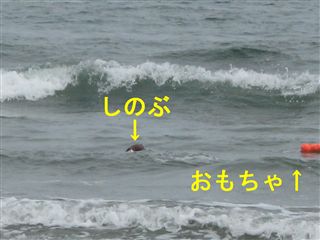 e0121589_19222990.jpg