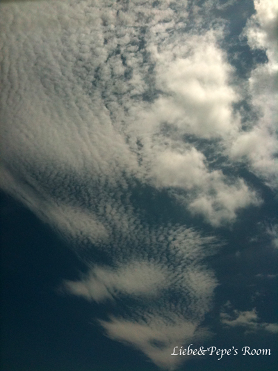 f0001895_1542764.jpg