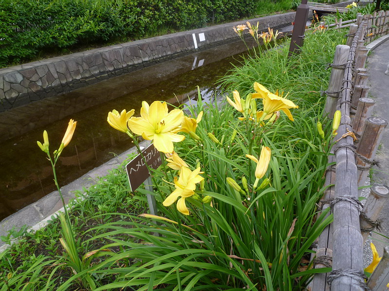 c0138198_1723927.jpg