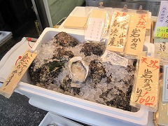 d0115106_162311.jpg
