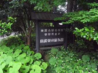d0118208_1818845.jpg