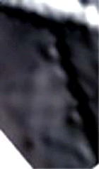 e0103408_155224.gif