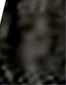e0103408_1562444.gif