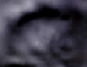 e0103408_1565935.gif