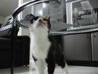 c0201113_19143015.jpg