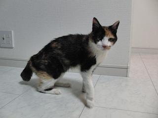 c0201113_1914965.jpg