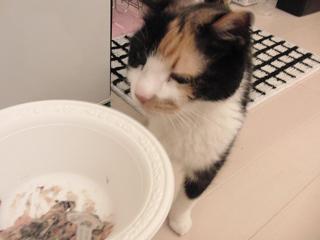 c0201113_1945473.jpg