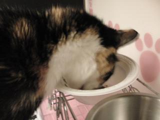 c0201113_1951174.jpg