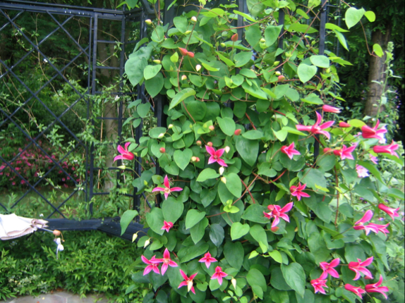 c0219815_2395455.jpg