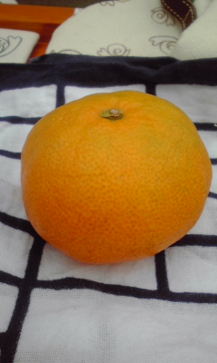 c0160822_2342060.jpg
