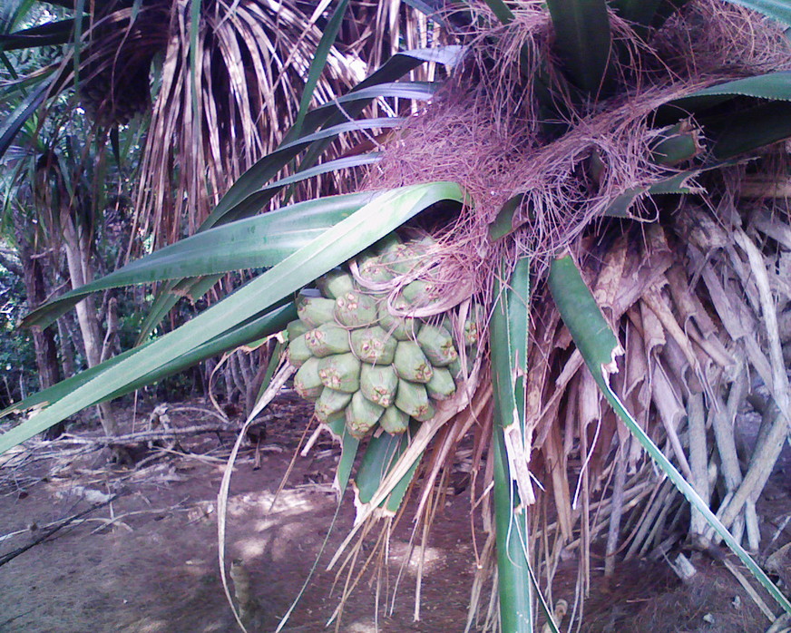 d0023622_17363864.jpg