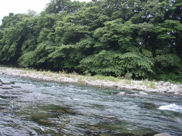 f0103126_21563081.jpg