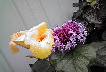 a0098027_15143537.jpg