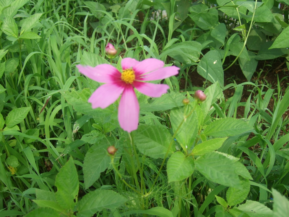 b0137932_9375098.jpg