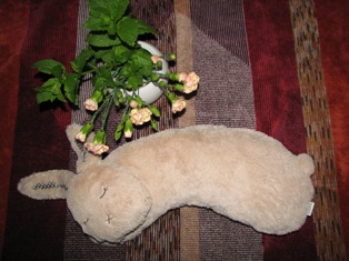 c0141844_22134741.jpg