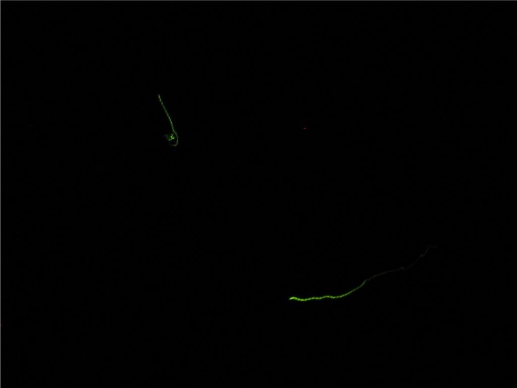 f0151044_7141350.jpg